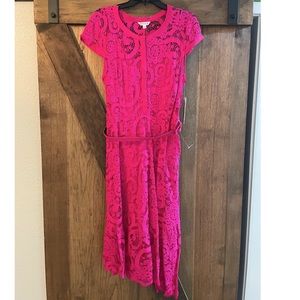 Nanette Lenore Pink Lace Dress